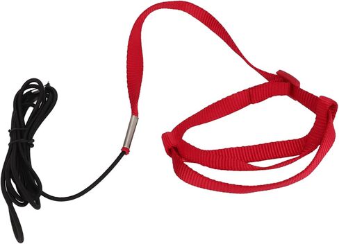 Drfeify Bird Leash Bite حبل طائر قابل للتعديل للمشي أداة تدريب الحيوانات الأليفة خفيفة الوزن ومتينة (L) in Kuwait