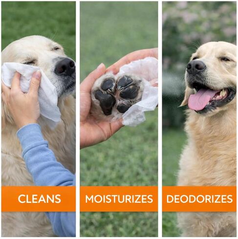 Tazza Pet Cleaning Wipes, 440 Count, Gentle Dog Wipes for Pets, Deodorizing Grooming Wipes with Oatmeal & Aloe, Fragrance Free Pet Wipes for Dogs & Puppies in Kuwait