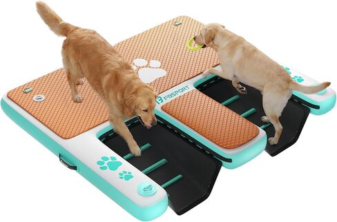 FBSPORT Inflatable Dog Boat Ramp with Double Water Ladders, 62"x59" Non-Slip EVA Covered Floating Ladder Dog Water Ramp for Pets and Adults - 400 lbs Capacity in Kuwait