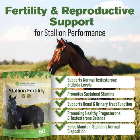 Silver Lining Herbs Stallion Fertility Supplements a Natural Libido & Energy Horse Supplement for Male Horses Help Keeps Stallions in Top Breeding Condition - Equine Herbal Horse Supplements - 1 lb in Kuwait
