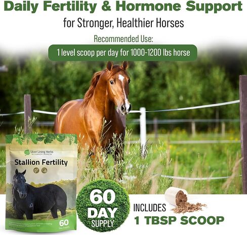 Silver Lining Herbs Stallion Fertility Supplements a Natural Libido & Energy Horse Supplement for Male Horses Help Keeps Stallions in Top Breeding Condition - Equine Herbal Horse Supplements - 1 lb in Kuwait