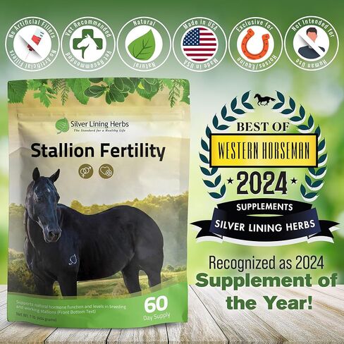 Silver Lining Herbs Stallion Fertility Supplements a Natural Libido & Energy Horse Supplement for Male Horses Help Keeps Stallions in Top Breeding Condition - Equine Herbal Horse Supplements - 1 lb in Kuwait
