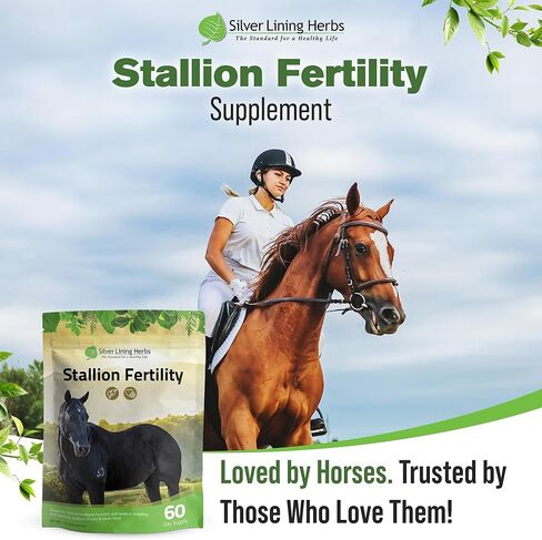 Silver Lining Herbs Stallion Fertility Supplements a Natural Libido & Energy Horse Supplement for Male Horses Help Keeps Stallions in Top Breeding Condition - Equine Herbal Horse Supplements - 1 lb in Kuwait