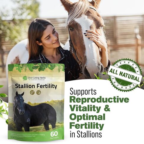 Silver Lining Herbs Stallion Fertility Supplements a Natural Libido & Energy Horse Supplement for Male Horses Help Keeps Stallions in Top Breeding Condition - Equine Herbal Horse Supplements - 1 lb in Kuwait