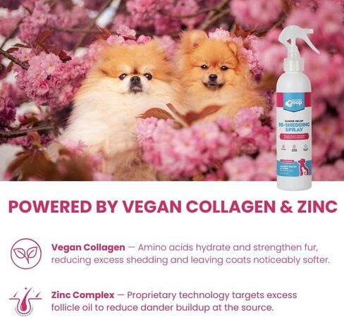 بخاخ إزالة تساقط الشعر من Groomer's Goop Dander - تركيبة تُترك على البشرة تلطف البشرة الجافة، وتقلل من تساقط الشعر والوبر، وترطب بالكولاجين النباتي والزنك، ومنظفات جوز الهند - 8 أونصة in Kuwait