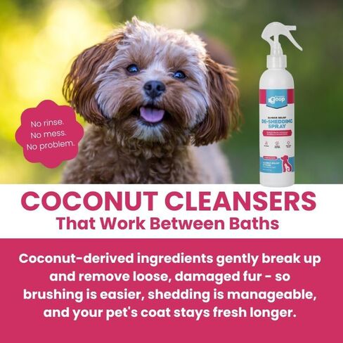 بخاخ إزالة تساقط الشعر من Groomer's Goop Dander - تركيبة تُترك على البشرة تلطف البشرة الجافة، وتقلل من تساقط الشعر والوبر، وترطب بالكولاجين النباتي والزنك، ومنظفات جوز الهند - 8 أونصة in Kuwait