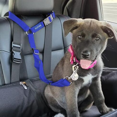 1pc Pet Dog Cat Seat Belts, Car Headrest Restraint Adjustable Safety Leads Vehicle Seatbelt Harness, Keep Your Pet Safe On The Road: Pet Car Safety Rope & Ring Dog Car Seat Belt(Blue) in Kuwait