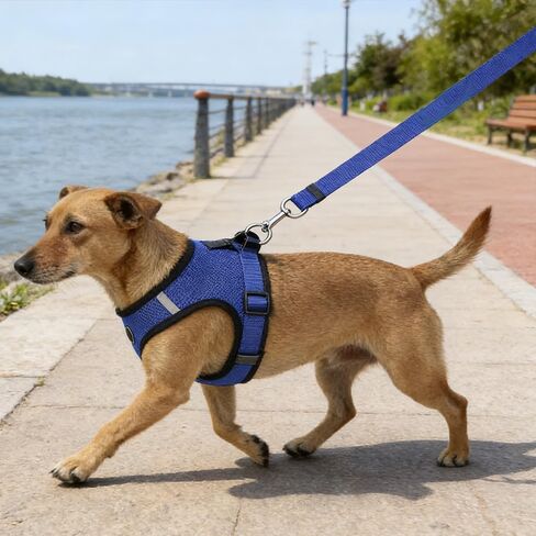1pc Pet Dog Cat Seat Belts, Car Headrest Restraint Adjustable Safety Leads Vehicle Seatbelt Harness, Keep Your Pet Safe On The Road: Pet Car Safety Rope & Ring Dog Car Seat Belt(Blue) in Kuwait