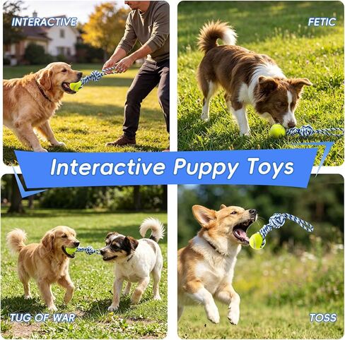 Interactive Tug of War Rope Toy for Medium & Small Dogs - Outdoor Tether Tug Toy with 1 Knot & Tennis Ball, Puppy Teething Chew Cotton Toy in Kuwait