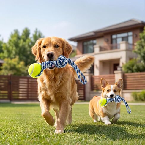Interactive Tug of War Rope Toy for Medium & Small Dogs - Outdoor Tether Tug Toy with 1 Knot & Tennis Ball, Puppy Teething Chew Cotton Toy in Kuwait