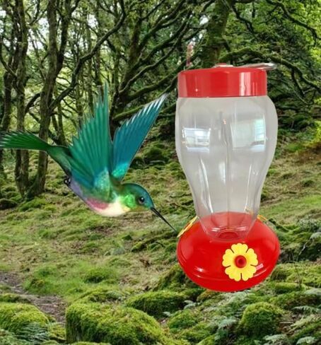 2 Pack Outdoor Hummingbird Feeders in Kuwait