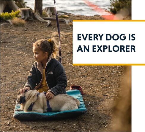 Ruffwear، نظام ربط الكلاب Knot-a-Hitch، وصلة وصل محمولة لمواقع التخييم والحدائق والساحات، طين أحمر in Kuwait