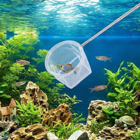 Tyqour Fish Tank Net Small Extendable Aquarium Net with Long Handle 8.6-39 Inch Aquarium Fish Net, Surface Skimmer Aquarium Minnow Net for Fish Shrimp Tank, Small Ponds, Creek in Kuwait