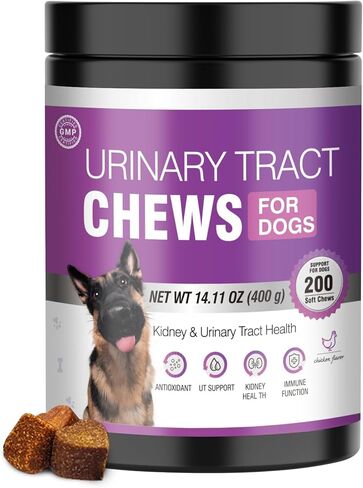 Dog Uti Treatment Cranberry Supplement for Dogs 200 Chews Urinary Tract Medicine Bladder Control Pills Kidney Support Cranberrys Extract Bites Uti Infection Treats Incontinence Remedy for Dogs Chicken in Kuwait