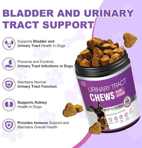 Dog Uti Treatment Cranberry Supplement for Dogs 200 Chews Urinary Tract Medicine Bladder Control Pills Kidney Support Cranberrys Extract Bites Uti Infection Treats Incontinence Remedy for Dogs Chicken in Kuwait