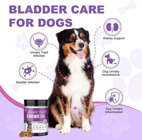 Dog Uti Treatment Cranberry Supplement for Dogs 200 Chews Urinary Tract Medicine Bladder Control Pills Kidney Support Cranberrys Extract Bites Uti Infection Treats Incontinence Remedy for Dogs Chicken in Kuwait