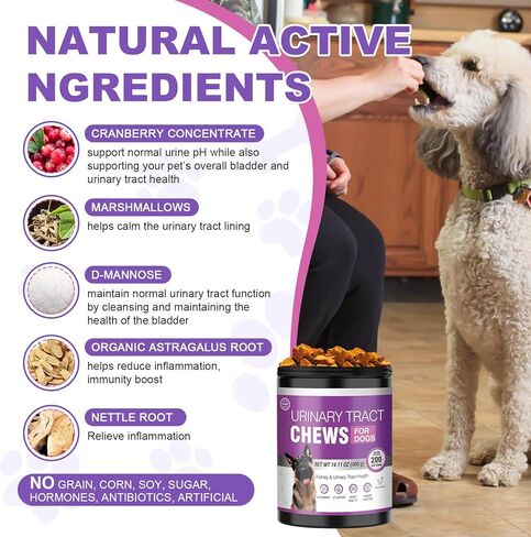 Dog Uti Treatment Cranberry Supplement for Dogs 200 Chews Urinary Tract Medicine Bladder Control Pills Kidney Support Cranberrys Extract Bites Uti Infection Treats Incontinence Remedy for Dogs Chicken in Kuwait