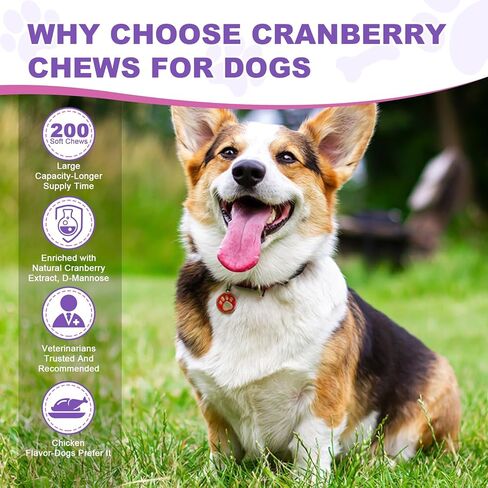 Dog Uti Treatment Cranberry Supplement for Dogs 200 Chews Urinary Tract Medicine Bladder Control Pills Kidney Support Cranberrys Extract Bites Uti Infection Treats Incontinence Remedy for Dogs Chicken in Kuwait