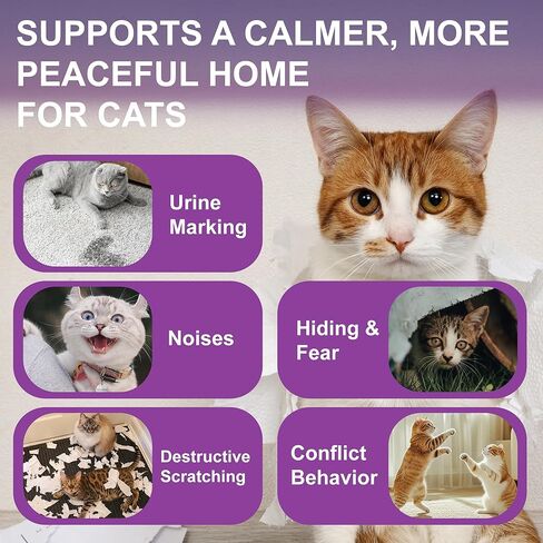 Cat Calming Pheromone Diffuser, Cat Anxiety Relief Diffuser Plug in Calmer with 2 Diffusers & 4 Refills, Reduce Cat Anxiety, Cat Fighting, Urine Marking, Scratching & Stress 48ml/Bottle for All Cats in Kuwait