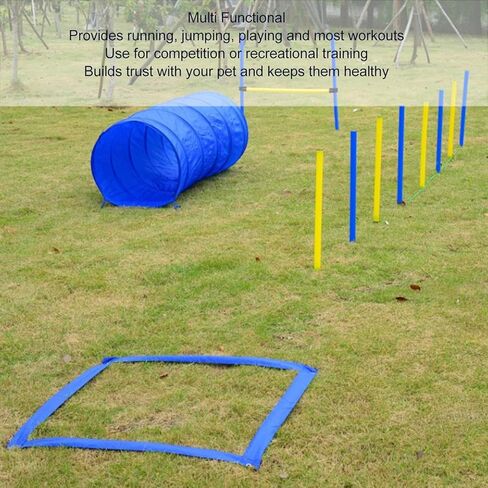 Dog Agility Training Kit, Collapsible Tunnel Jump Ring Poles, ABS Polyester, Easy to Use, for Yard Outdoor Puppy Training in Kuwait