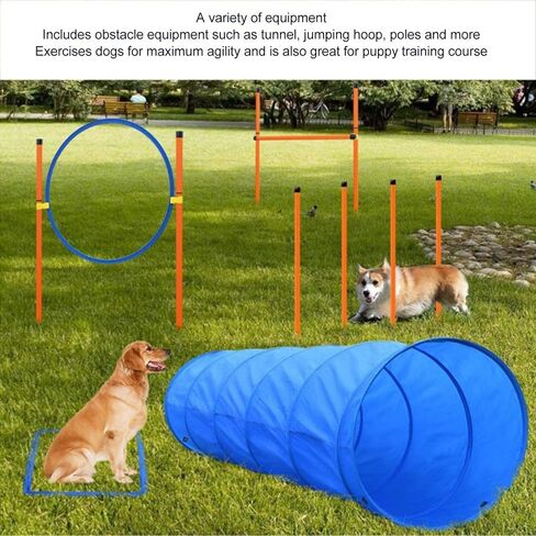 Dog Agility Training Kit, Collapsible Tunnel Jump Ring Poles, ABS Polyester, Easy to Use, for Yard Outdoor Puppy Training in Kuwait