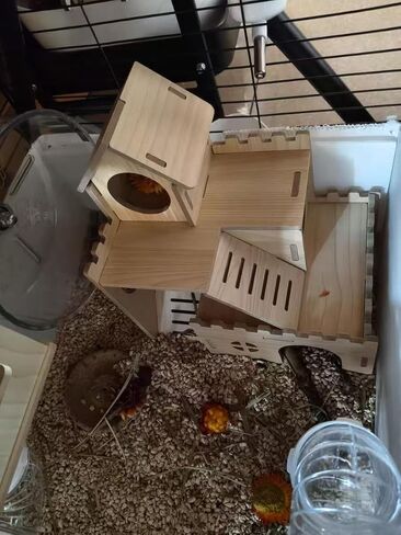 3-Tier Wooden Hamster Hideout, Syrian Hamster House with Ramps & Entrances, for Dwarf Hamsters, Gerbils (Not for Guinea Pigs) in Kuwait