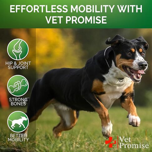 Vet Promise Hemp Hip and Joint Support Supplement for Dogs - Glucosamine for Dogs - Hemp Oil, MSM, Chondroitin - Support for Joint Pain Relief and Health - 120 Soft Chews - Made in USA in Kuwait