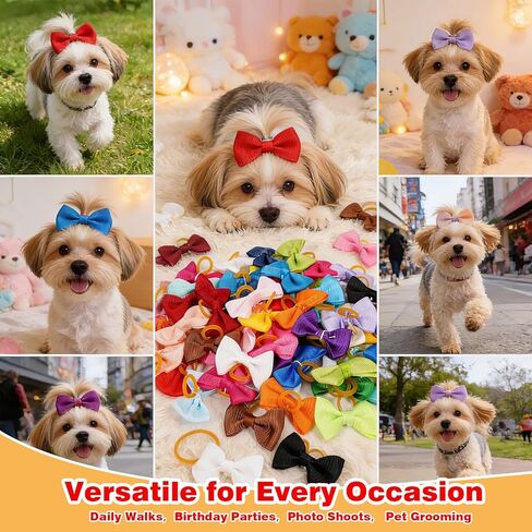 60PCS (30 Pairs) Cute Small Dog Hair Bows with Rubber Bands, Handmade Grosgrain Ribbon Pet Grooming Accessories for Yorkie, Shih Tzu, Puppy in Saudi Arabia