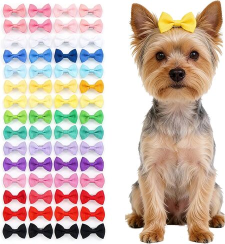 60PCS (30 Pairs) Cute Small Dog Hair Bows with Rubber Bands, Handmade Grosgrain Ribbon Pet Grooming Accessories for Yorkie, Shih Tzu, Puppy in Saudi Arabia