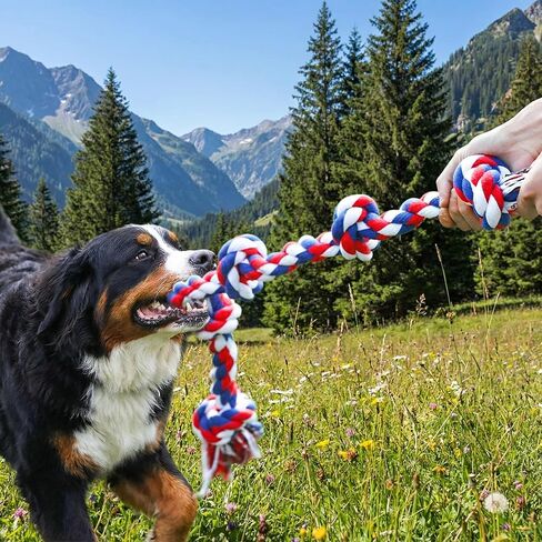لعبة حبل للكلاب شديدة التحمل مقاس XL مقاس 91.48 سم من Paw-FECT، متينة 100% قطن، رائعة لشد الحبل والمضغ العدواني، لعبة سحب قوية، لجميع أحجام وسلالات الكلاب in Kuwait