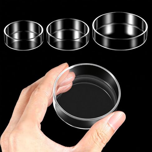3 Sizes Glass Shrimp Feeding Dish Set, Round Food Feeder Fish Bowl Accessories Small Clear Bowls for Aquarium, Fish Tank (2.36", 2.56", 3.15") in Kuwait