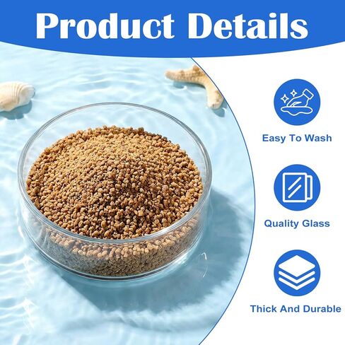 3 Sizes Glass Shrimp Feeding Dish Set, Round Food Feeder Fish Bowl Accessories Small Clear Bowls for Aquarium, Fish Tank (2.36", 2.56", 3.15") in Kuwait