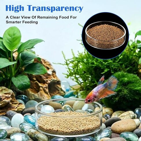 3 Sizes Glass Shrimp Feeding Dish Set, Round Food Feeder Fish Bowl Accessories Small Clear Bowls for Aquarium, Fish Tank (2.36", 2.56", 3.15") in Kuwait