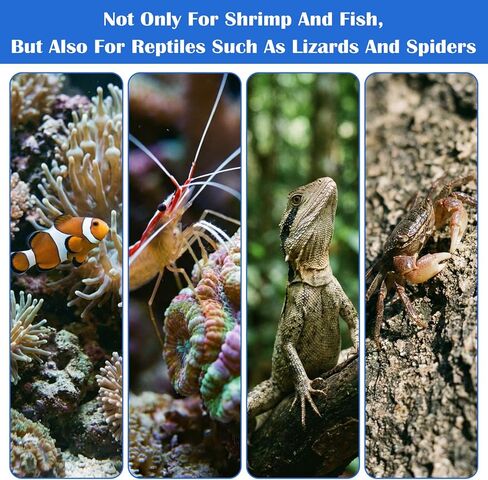 3 Sizes Glass Shrimp Feeding Dish Set, Round Food Feeder Fish Bowl Accessories Small Clear Bowls for Aquarium, Fish Tank (2.36", 2.56", 3.15") in Kuwait