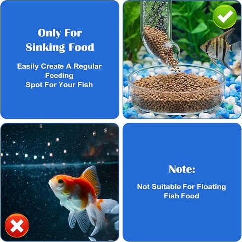 3 Sizes Glass Shrimp Feeding Dish Set, Round Food Feeder Fish Bowl Accessories Small Clear Bowls for Aquarium, Fish Tank (2.36", 2.56", 3.15") in Kuwait