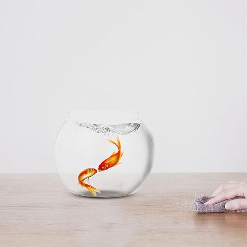 DECHOUS Round Fish Bowl with Stand, 2 Gallon Fish Tank Decor Tabletop Small Fish Bowl Hydroponic Vase Planter Aquarium Desktop Fish Tank for Betta Fish/Goldfish, Plastic Material in Kuwait