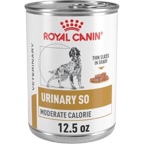 Royal Canin Veterinary Diet Canine Urinary SO Moderate Calorie Adult Thin Slices in Gravy Dog Food, 12.5 oz (Pack of 12) in Kuwait