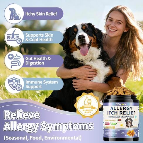 Dog Allergy Relief Chews - Dog Itching Skin Relief 500 Ct, Anti Itch Licking Paw & Yeast Relief, Itchy Skin and Ears for Seasonal Allergies, Probiotics Gut Digestive & Immune Support in Kuwait