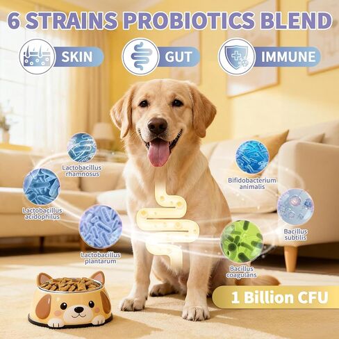 Dog Allergy Relief Chews - Dog Itching Skin Relief 500 Ct, Anti Itch Licking Paw & Yeast Relief, Itchy Skin and Ears for Seasonal Allergies, Probiotics Gut Digestive & Immune Support in Kuwait