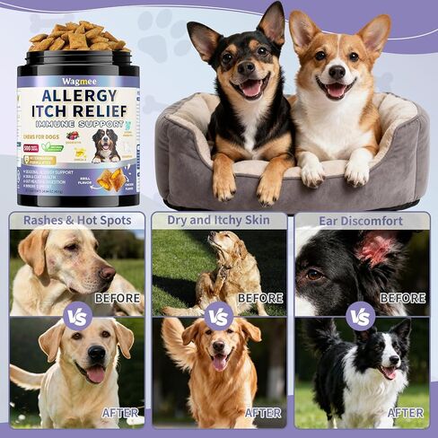 Dog Allergy Relief Chews - Dog Itching Skin Relief 500 Ct, Anti Itch Licking Paw & Yeast Relief, Itchy Skin and Ears for Seasonal Allergies, Probiotics Gut Digestive & Immune Support in Kuwait