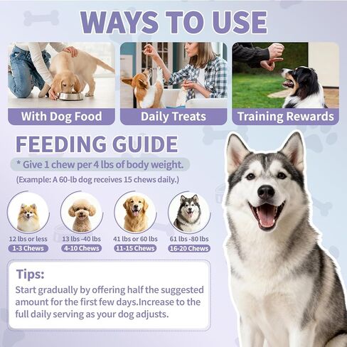 Dog Allergy Relief Chews - Dog Itching Skin Relief 500 Ct, Anti Itch Licking Paw & Yeast Relief, Itchy Skin and Ears for Seasonal Allergies, Probiotics Gut Digestive & Immune Support in Kuwait