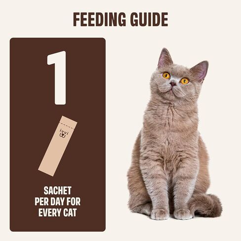 ivvi Indoor Hairball Support Cat Treat – Creamy Lickable Treat for Indoor Cats – Malt & Fiber Digestive Support – Helps Reduce Hairballs – Grain Free – 15g Sachets in Kuwait