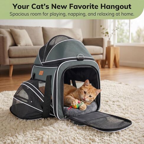 Morpilot Top and Side Expandable Cat Carrier, Airline Approved Collapsible Soft-Sided Pet Carrier for Medium/Large Cats and Puppies up to 20lbs for Car Rides and Vet Visits (Dark Gray) in Saudi Arabia