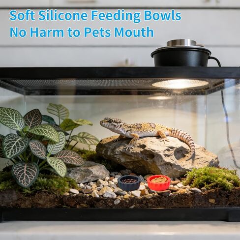 Gecko Feeding Bowls 12Pack Silicone Small Cups Reusable Food Water Dish Terrarium Bowls with 2 Feeding Spoon for Crested Gecko Leopard Gecko Lizards Snails Hermit Crabs Small Reptile in Kuwait