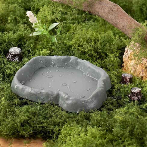 Snail Food and Water Bowl Terrarium Feeding Dish for Tank Supplies in Kuwait
