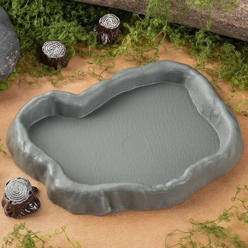 Snail Food and Water Bowl Terrarium Feeding Dish for Tank Supplies in Kuwait
