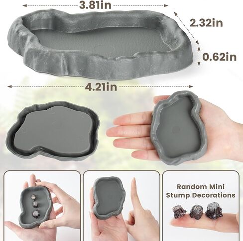 Snail Food and Water Bowl Terrarium Feeding Dish for Tank Supplies in Kuwait