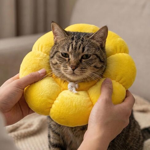 Cat Recovery Collar Adjustable Cone Elizabethan E Collar for Cats, Cat Kitten Donut Bunny Collar for Post Surgery Wound Healing Anti-Licking in Kuwait