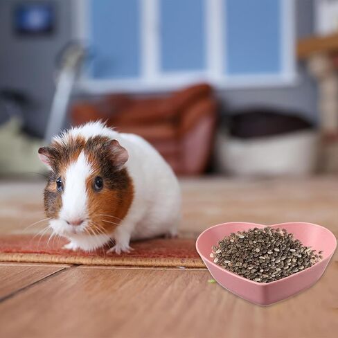 3 Pcs Guinea Pig Food Bowl Heart Hamster Food Water Bowl Plate Plastic Anti-Turning Water Dish Gerbil Drinking Bowls for Dwarf Syrian Hedgehog Gerbil Small Animals Rat Rodent, 2.9“ x0.9“ in Kuwait