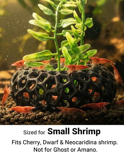 Shrimp Cave for Fish Tank Plants, 2-Pack Round Aquarium Caves for Cherry & Dwarf Shrimp, Plant-Compatible Shrimp Tank Accessories, Aquarium Decor (Black) in Kuwait